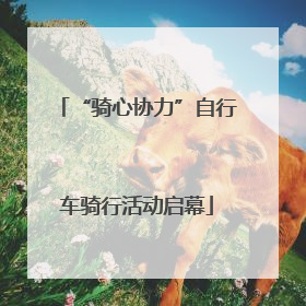 “骑心协力”自行车骑行活动启幕