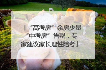 “高考房”余房少量 “中考房”售罄，专家建议家长理性陪考
