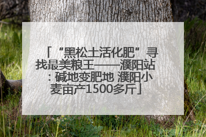 “黑松土活化肥”寻找最美粮王——濮阳站：碱地变肥地 濮阳小麦亩产1500多斤