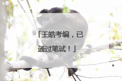 王皓考编，已通过笔试！