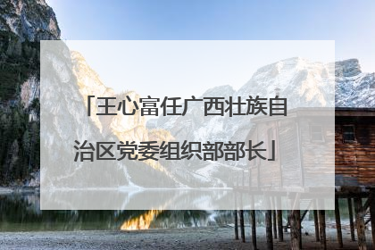 王心富任广西壮族自治区党委组织部部长