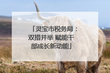 灵宝市税务局：双措并举 赋能干部成长新动能