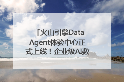 火山引擎Data Agent体验中心正式上线！企业级AI数据专家触手可及
