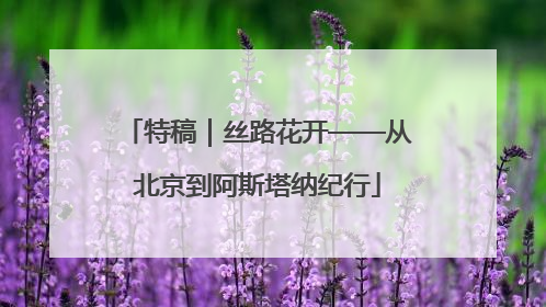 特稿｜丝路花开——从北京到阿斯塔纳纪行
