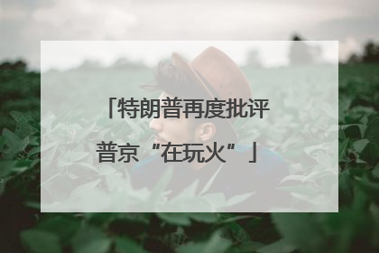 特朗普再度批评普京“在玩火”