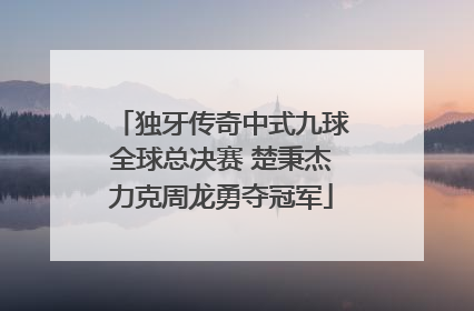 独牙传奇中式九球全球总决赛 楚秉杰力克周龙勇夺冠军