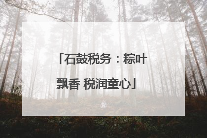 石鼓税务：粽叶飘香 税润童心
