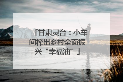 甘肃灵台：小车间榨出乡村全面振兴“幸福油”