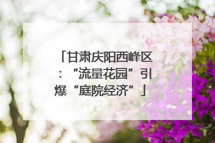甘肃庆阳西峰区：“流量花园”引爆“庭院经济”