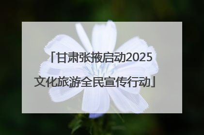 甘肃张掖启动2025文化旅游全民宣传行动