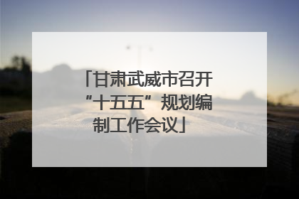 甘肃武威市召开“十五五”规划编制工作会议