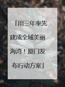 用三年率先建成全域美丽海湾！厦门发布行动方案