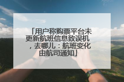 用户称购票平台未更新航班信息致误机，去哪儿：航班变化由航司通知