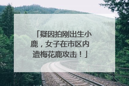 疑因拍刚出生小鹿，女子在市区内遭梅花鹿攻击！