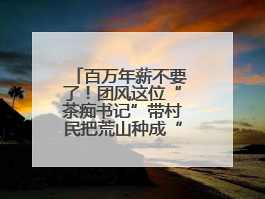 百万年薪不要了！团风这位“茶痴书记”带村民把荒山种成“绿色银行”