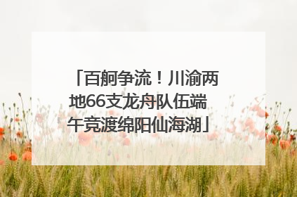 百舸争流！川渝两地66支龙舟队伍端午竞渡绵阳仙海湖
