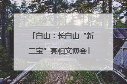 白山：长白山“新三宝”亮相文博会