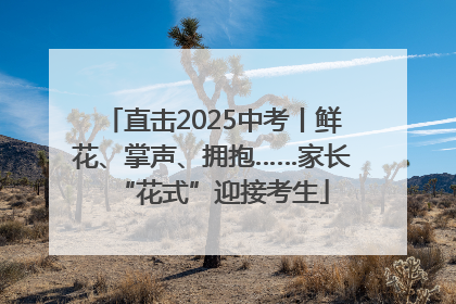 直击2025中考丨鲜花、掌声、拥抱……家长“花式”迎接考生
