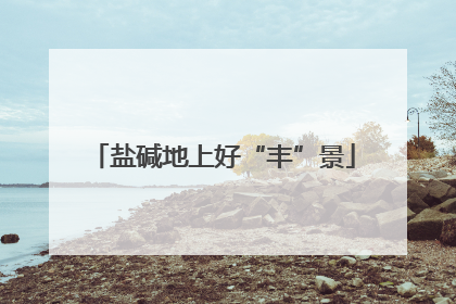盐碱地上好“丰”景