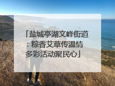 盐城亭湖文峰街道：粽香艾草传温情 多彩活动聚民心
