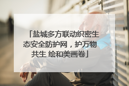 盐城多方联动织密生态安全防护网，护万物共生 绘和美画卷