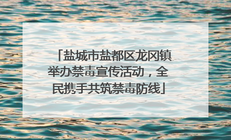 盐城市盐都区龙冈镇举办禁毒宣传活动，全民携手共筑禁毒防线
