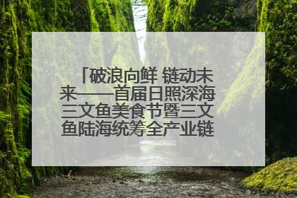 破浪向鲜 链动未来——首届日照深海三文鱼美食节暨三文鱼陆海统筹全产业链发展会议嘉宾访谈