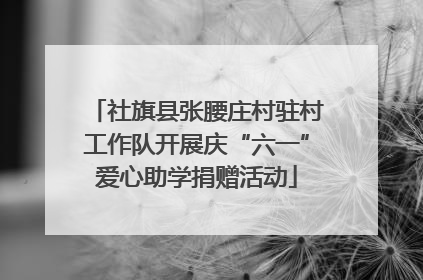 社旗县张腰庄村驻村工作队开展庆“六一”爱心助学捐赠活动