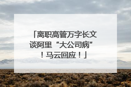 离职高管万字长文谈阿里“大公司病”！马云回应！
