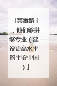 禁毒路上，他们够拼够专业（建设更高水平的平安中国）