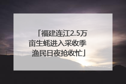 福建连江2.5万亩生蚝进入采收季 渔民日夜抢收忙