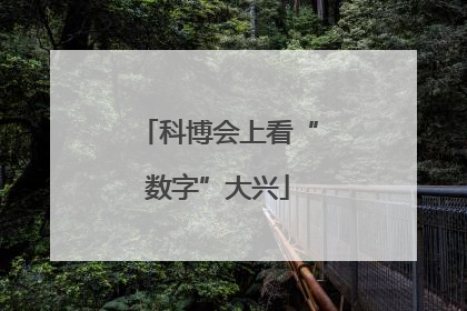 科博会上看“数字”大兴