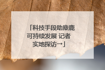 科技手段助麋鹿可持续发展 记者实地探访→