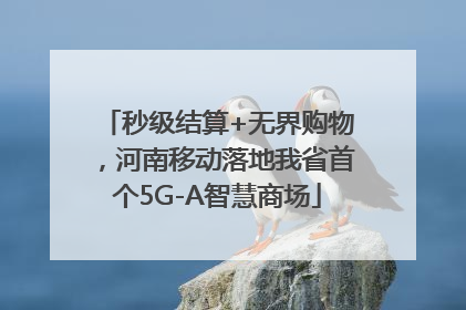 秒级结算+无界购物，河南移动落地我省首个5G-A智慧商场