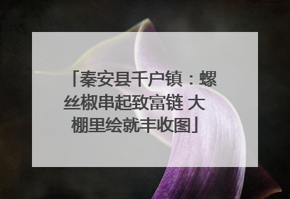 秦安县千户镇：螺丝椒串起致富链 大棚里绘就丰收图