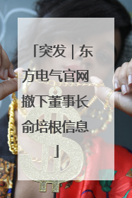突发｜东方电气官网撤下董事长俞培根信息