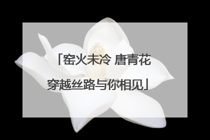 窑火未冷 唐青花穿越丝路与你相见