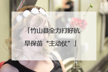 竹山县全力打好抗旱保苗“主动仗”