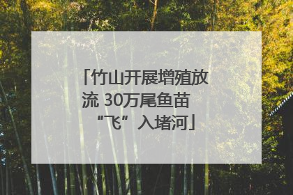 竹山开展增殖放流 30万尾鱼苗“飞”入堵河