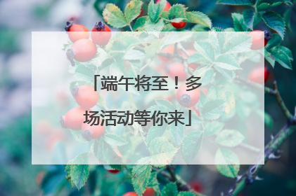 端午将至！多场活动等你来