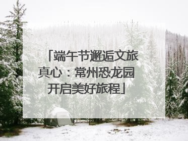 端午节邂逅文旅真心：常州恐龙园开启美好旅程