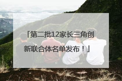 第二批12家长三角创新联合体名单发布！