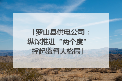 罗山县供电公司：纵深推进“两个度” 撑起监督大格局