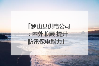 罗山县供电公司：内外兼顾 提升防汛保电能力