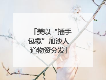 美以“插手包揽”加沙人道物资分发