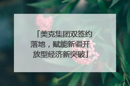 美克集团双签约落地，赋能新疆开放型经济新突破