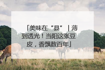 美味在“县”｜薄到透光！当阳这张豆皮，香飘数百年