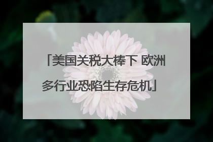 美国关税大棒下 欧洲多行业恐陷生存危机