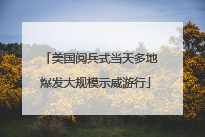 美国阅兵式当天多地爆发大规模示威游行