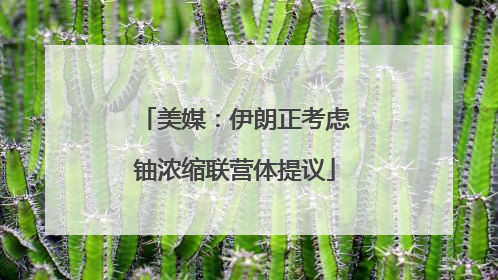 美媒：伊朗正考虑铀浓缩联营体提议